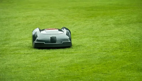 The Future of Lawn Care: Advances in Auto Lawn Mower Technology